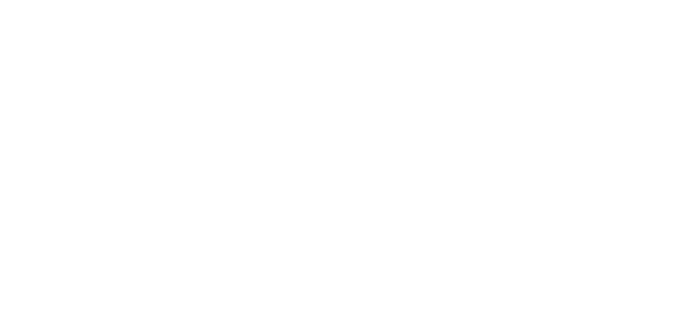 ANT AI